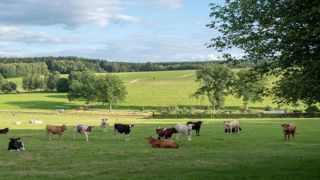 La production française de lait a reculé de 2,8 % sur les neuf premiers mois de 2023. La production française de lait a reculé de 2,8 % sur les neuf premiers mois de 2023.